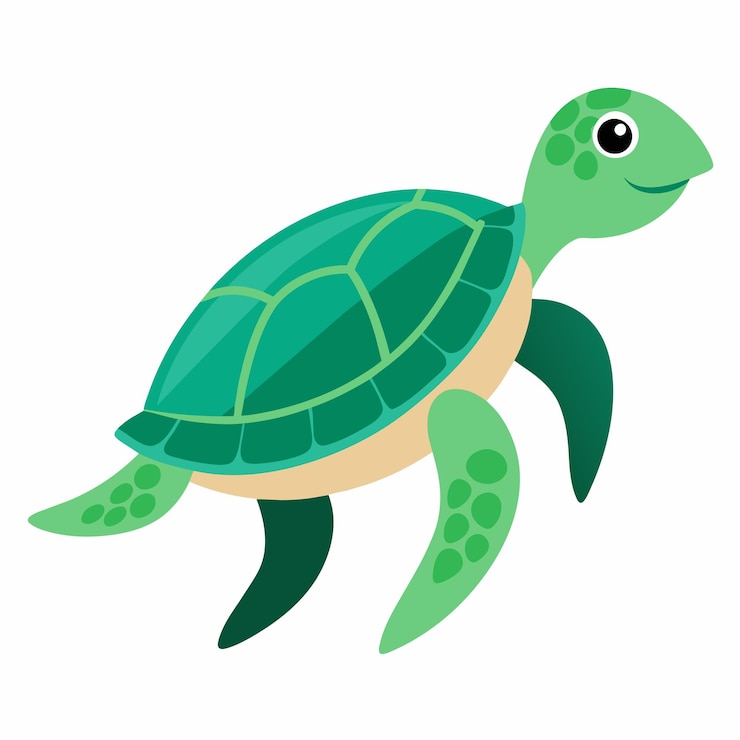 Vector sea turtle vector art illustration 12