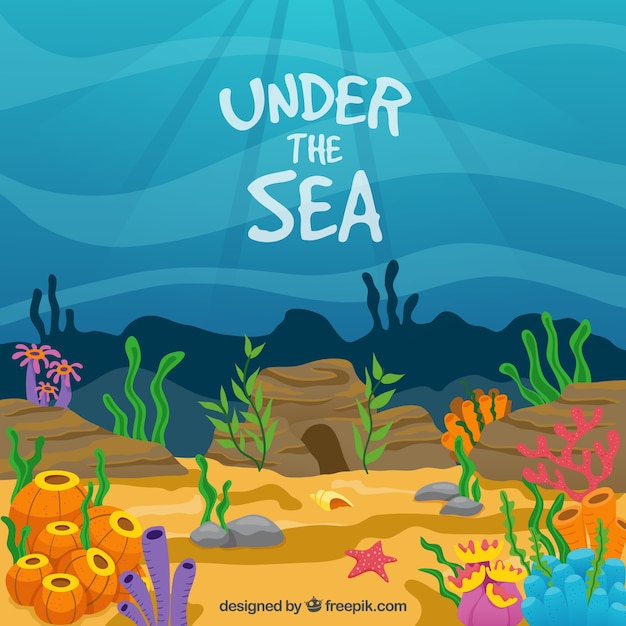 Under the sea with colored seaweeds background