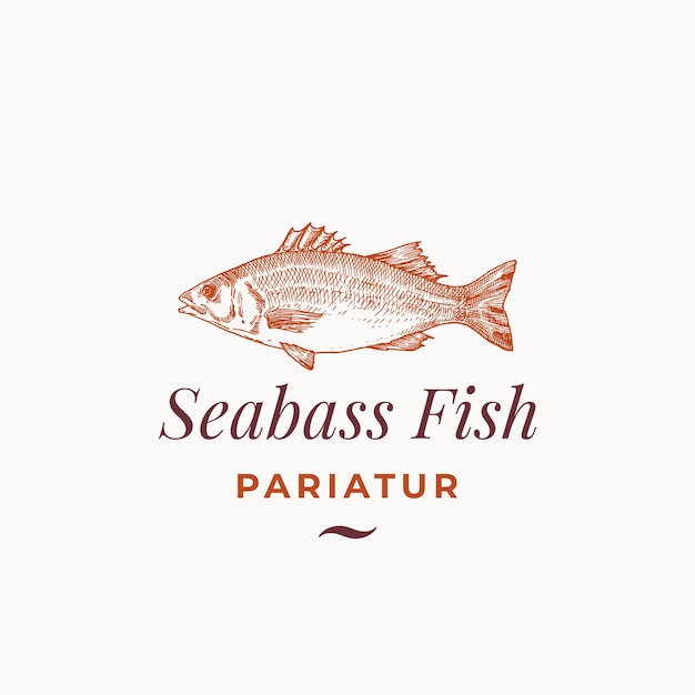 Seabass Fish Abstract  Sign, Symbol or Logo Template.