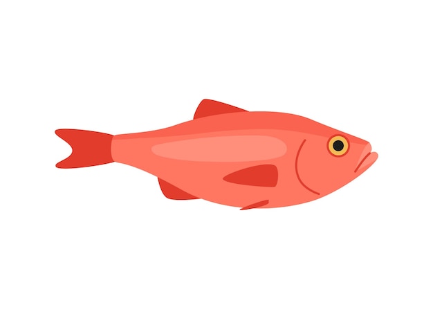 seabass perch marine cartoon seafood underwater aquatic gourmet fishery vector illustration isolated