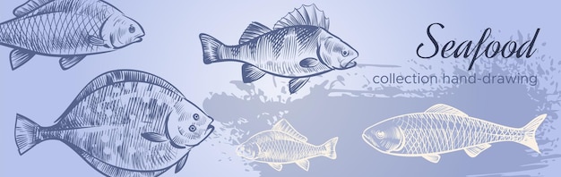 Seafood banner template with hand drawn sea fishes