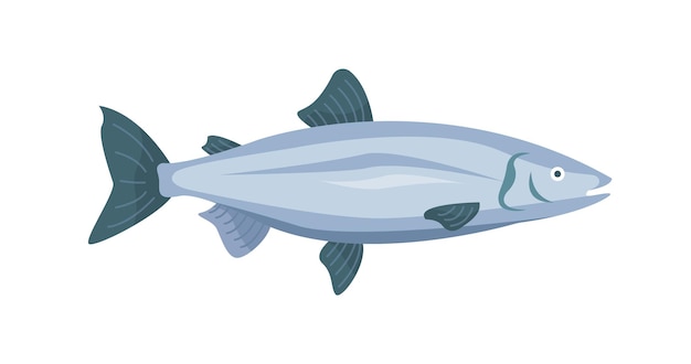 seafood fish concept natural and organic product with healthy fats menu for cafe or restaurant template layout and mock up cartoon flat vector illustration isolated on white background