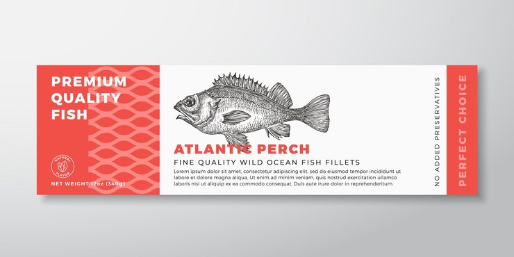 Vector seafood fish vector label design package background layout template hand drawn atlantic perch