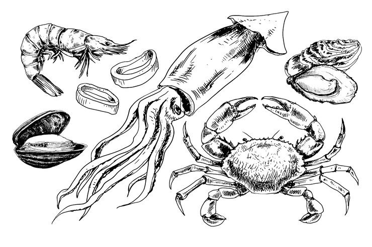 Морепродукты рисованной коллекции