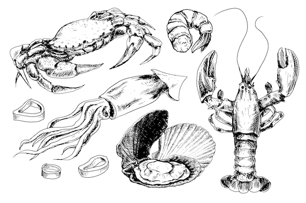 Морепродукты рисованной коллекции
