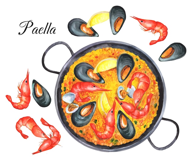 Vector seafood paella. mediterranean kitchen