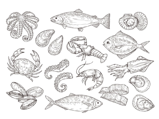 Эскиз морепродуктов. винтажная рыба, рисование еды