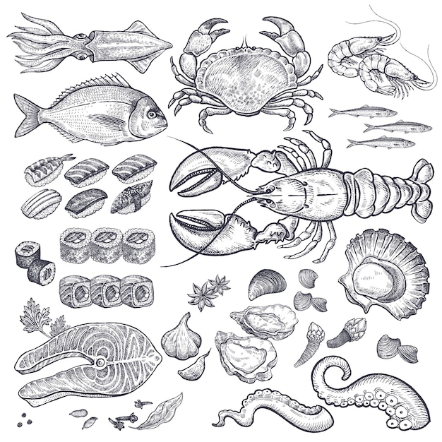 Vector seafood vector set