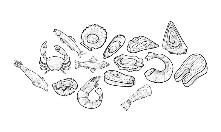 Vector seafoods handdrawn collection
