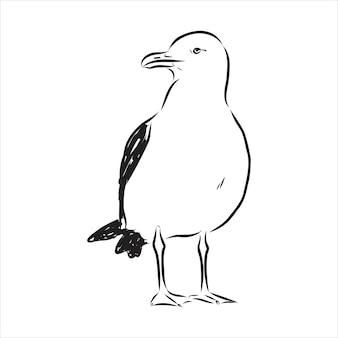 Gabbiano albatross uccello in volo con ali aperte schizzo grafica vettoriale disegno in bianco e nero