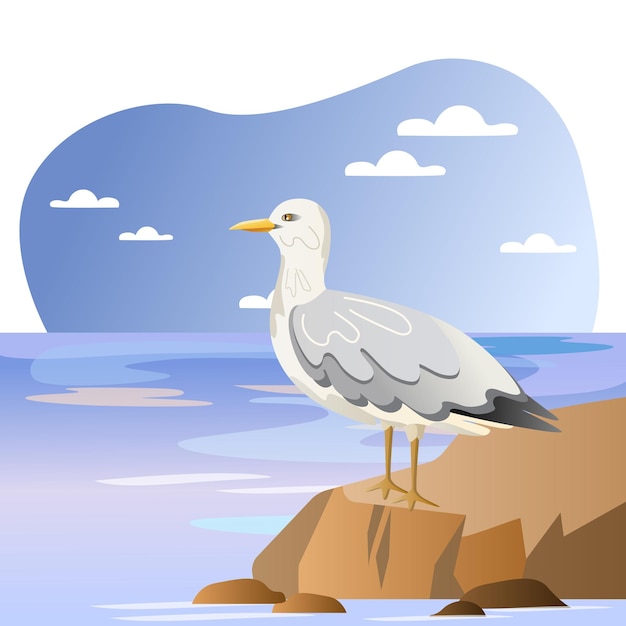 seagull illustration bird cliff water beak editable vector