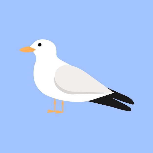 Vector seagull isolated on white background flat gull vector illustration of sea bird