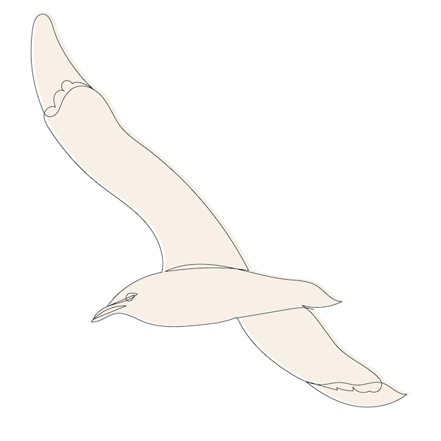 Seagull, picture sketch, vector, isolated