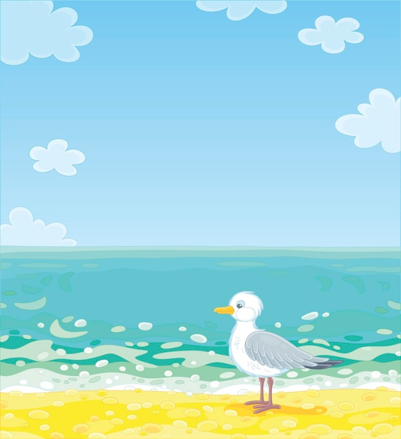 Seagull on a sandy beach of a tropical island in a southern sea on a beautiful summer day