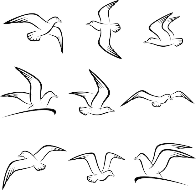 Seagull set Vector