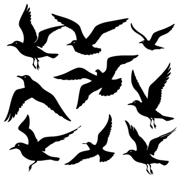 Vector seagull silhouettes on a white background