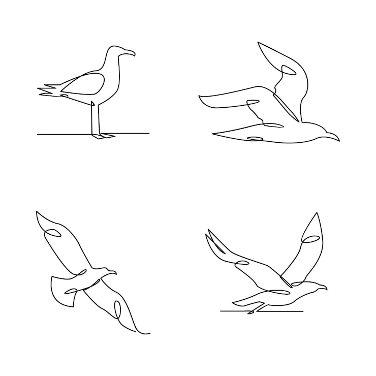 Vector seagull single line icon design illustration