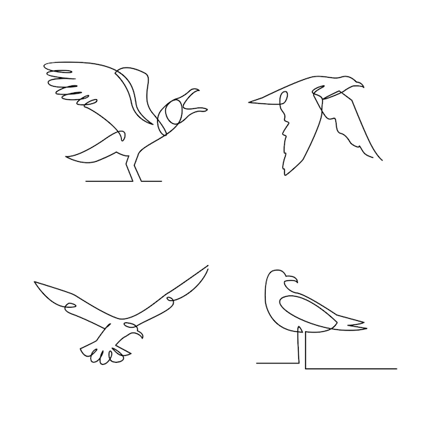 Vector seagull single line icon design illustration