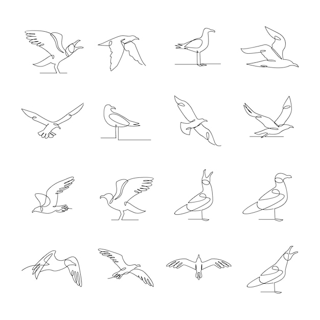 Vector seagull single line icon design illustration