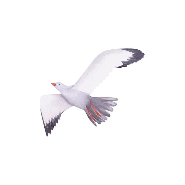 Vector seagulls watercolor illustration