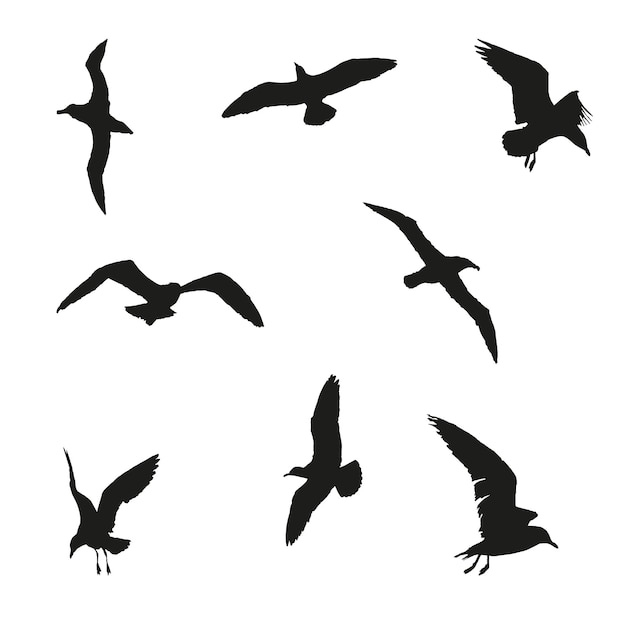 Vector seagulls