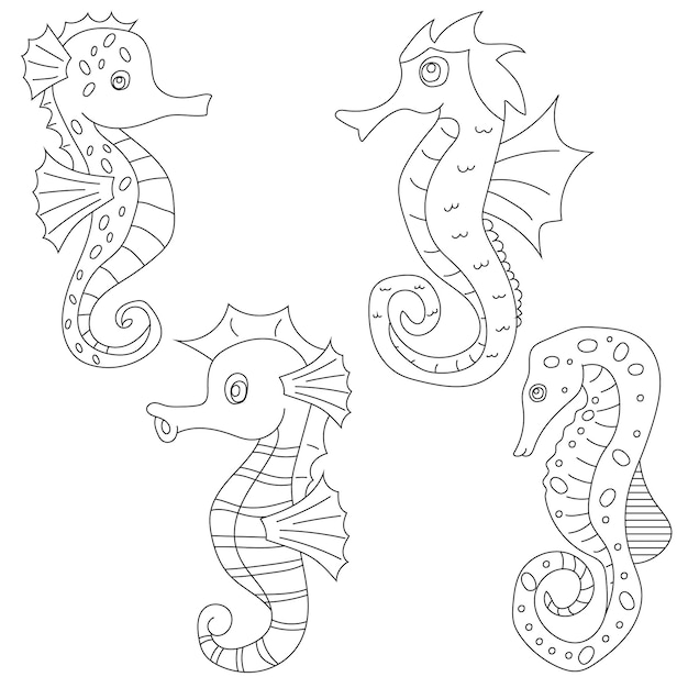 Vector seahorse clipart aquatic animals and sea animals clipart