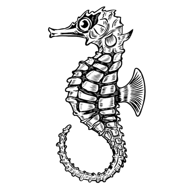 Seahorse illustratie op witte achtergrond. element voor poster, t-shirt. illustratie