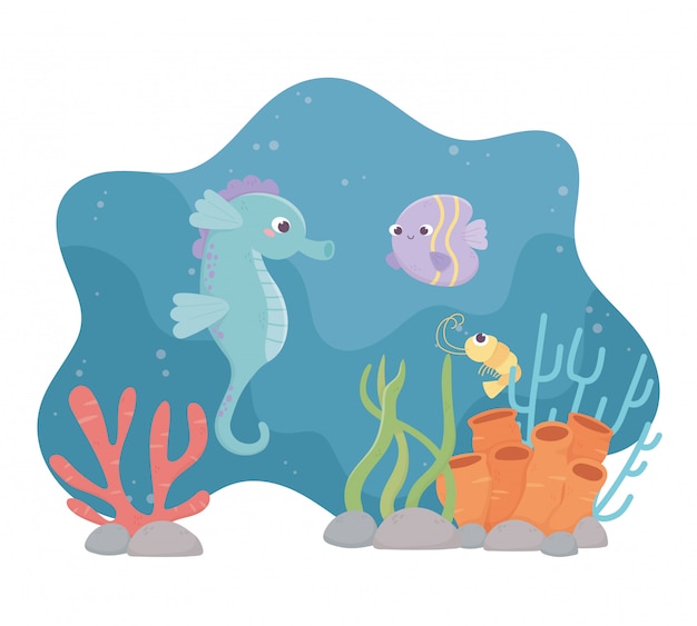 Seahorse vis garnalen leven koraalrif onder de zee