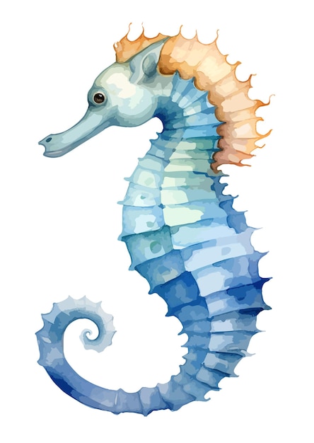 Vector seahorse watercolor clipart vector