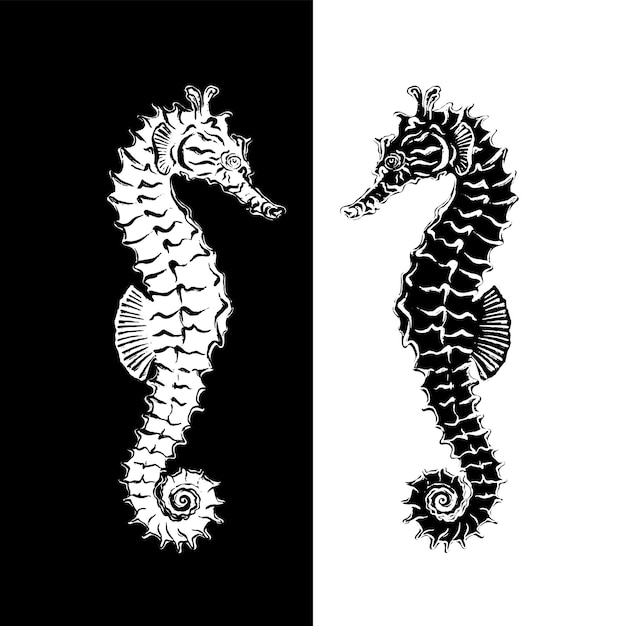 Seahorse zwart-wit inversie. vector illustratie