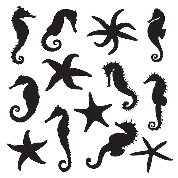 Seahorses starfish silhouette