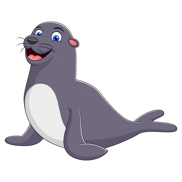 A seal cartoon isolated