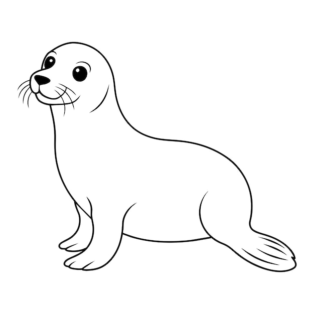 Vector seal illustration coloring page for kids