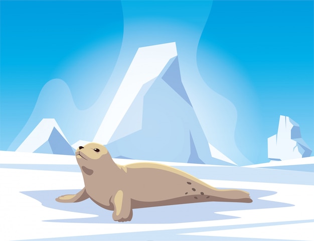 Vector seal at the north pole, arctic landscape