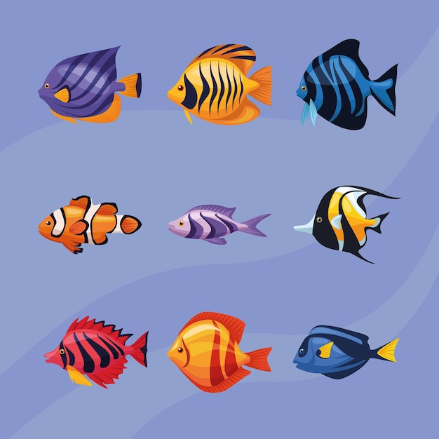 Sealife onderwater negen pictogrammen