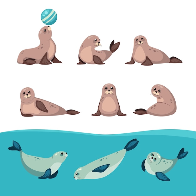 Vector seals animal set north antarctica animals cute funny cartoon characters seals lying in different poses on the seabank vector ocean characters