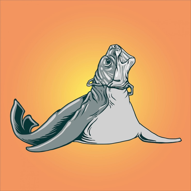 Vector seals and plastic pollution