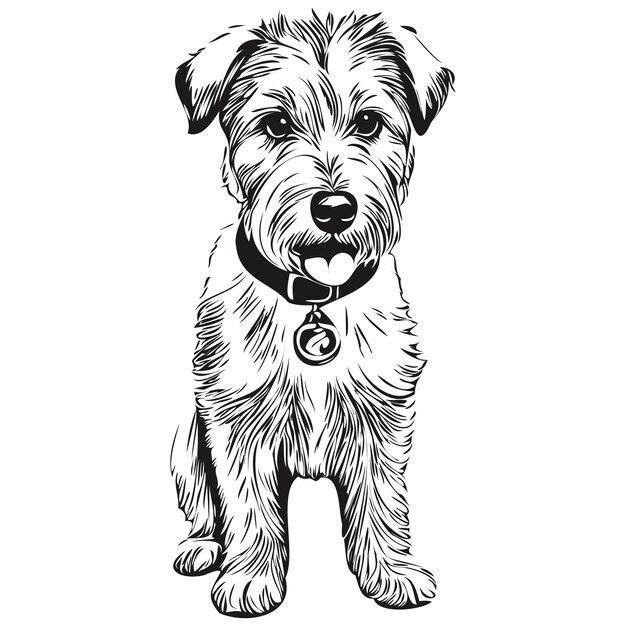 Vector sealyham terrier dog face vector portrait funny outline pet illustration white background realistic breed pet