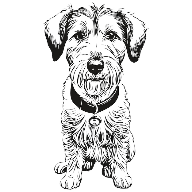 Sealyham Terrier dog head line drawing vectorhand drawn illustration with transparent background realistic breed pet