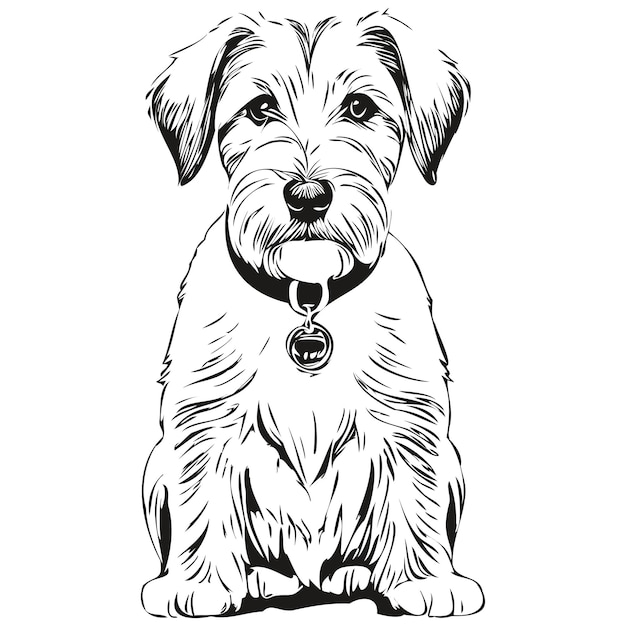 Vector sealyham terrier dog realistic pet illustration hand drawing face black and white vector realistic breed pet