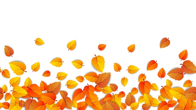 Vector seamless autumn leaves horizontal banner isolated on white background template golden leaf