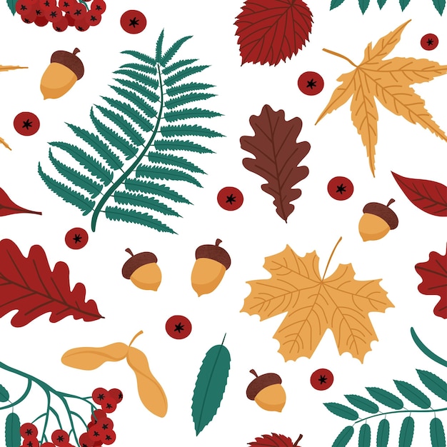 Осенний фон с листьями рябины и желуди векторные иллюстрации