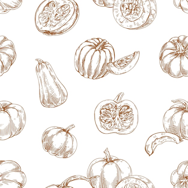 Seamless autumn pattern with outlined pumpkins and squashes on white background. Repeating contoured vintage botanical drawing with fall vegetables. Hand-drawn vector illustration for printing