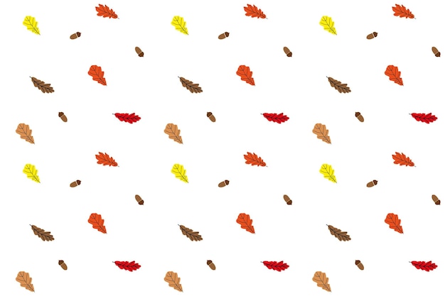 Seamless autumn vector background from colored oak leaves and acorns on white Pattern