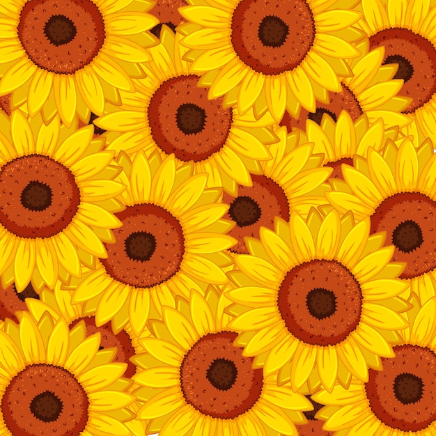 Vector seamless background design with sunflowers