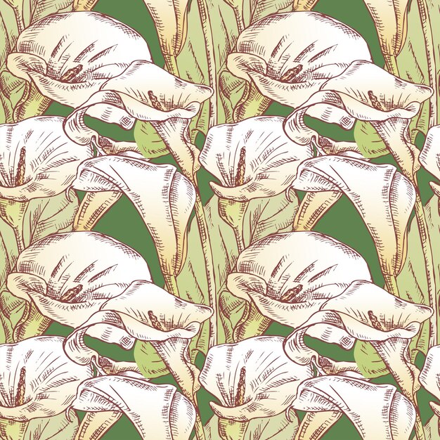 Vector seamless background of drawn white calla lilies