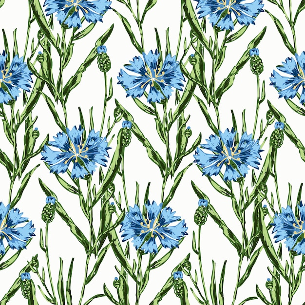 Vector seamless background of drawn wild blue cornflowers flowers