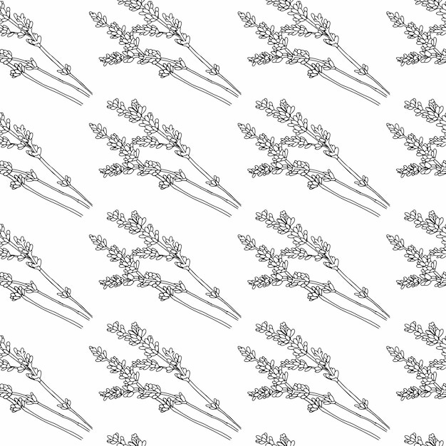 Vector seamless background, endless texture from lavender flowers, outline drawn with black liner.