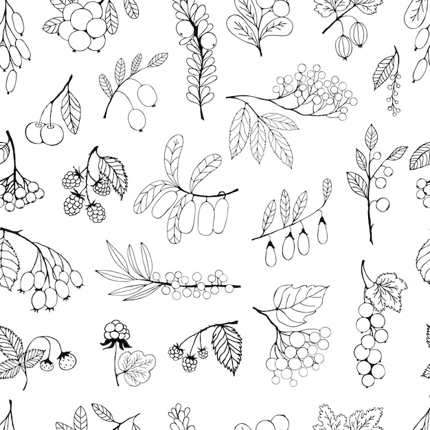 Seamless background handdrawn sketch berries