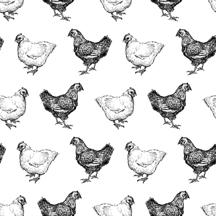 Vector seamless background of hens sketches
